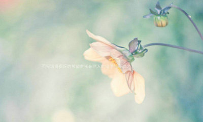 你可以一无所有,但绝不能一无是处