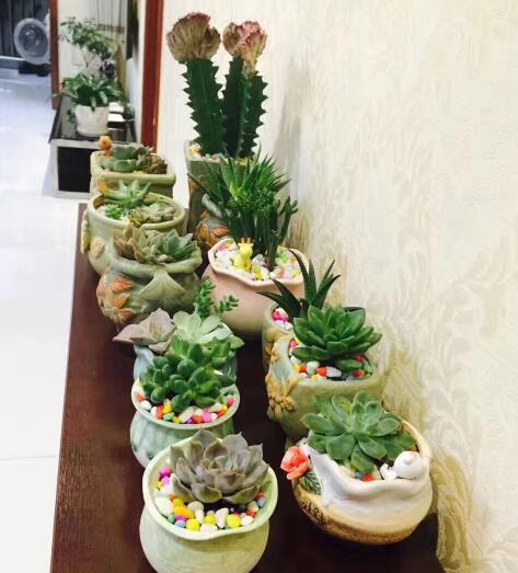 我在光阴的拐角等花开