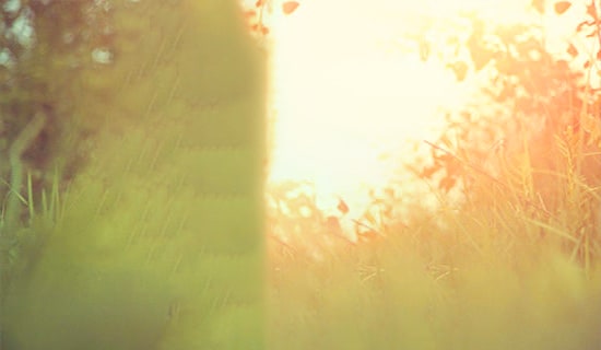 经典唯美的情感句子合集86条