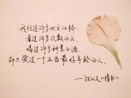 做一个内心干净的人的句子 形容人外表肮脏而内心纯洁干净的佳句