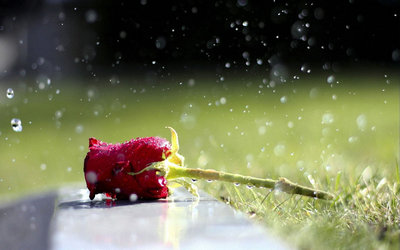 压力最大的时候，效率可能最高