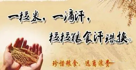 勤俭节约的唯美句子