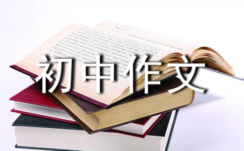 印象初中作文