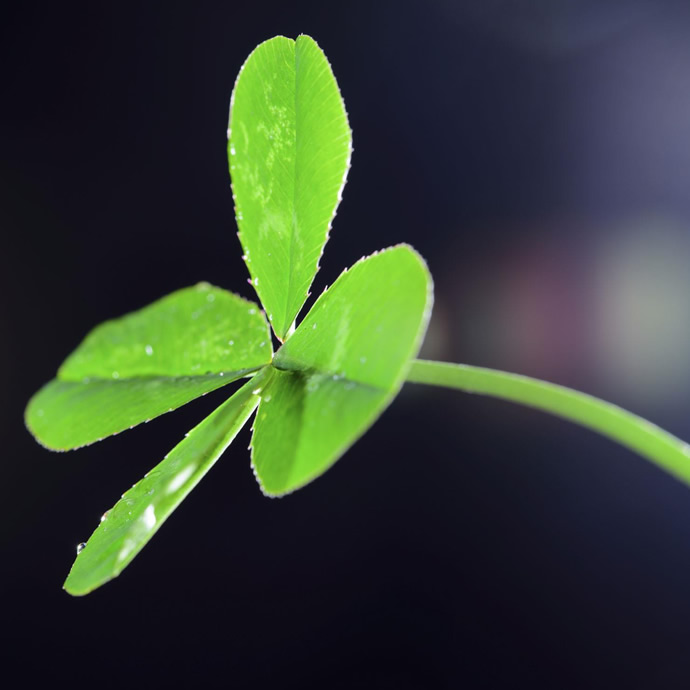 适合做微信头像的照片