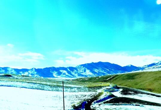 爱是一辈子的事