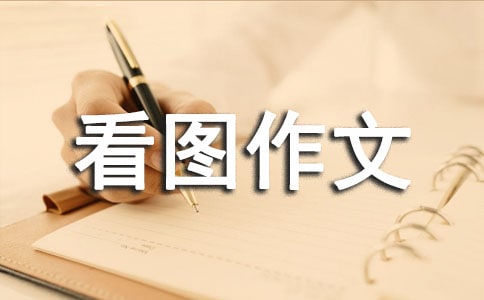 看图作文300字（通用48篇）