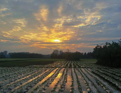 半年已过的感慨心情说说100句