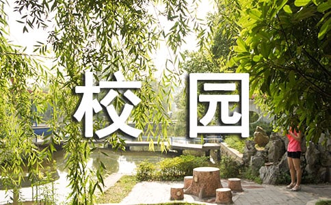 书香飘满校园手抄报内容(精选10篇)