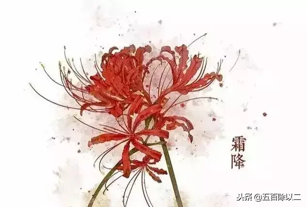分享九首彼岸花的诗句,喜爱者可收藏