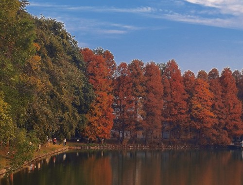 朋友圈早安暖心话短句_早安语录暖心话简短 朋友圈早安暖心话短句_早安语录暖心话简短