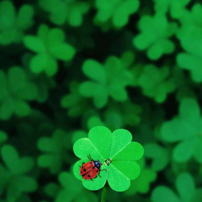 适合做微信头像的照片