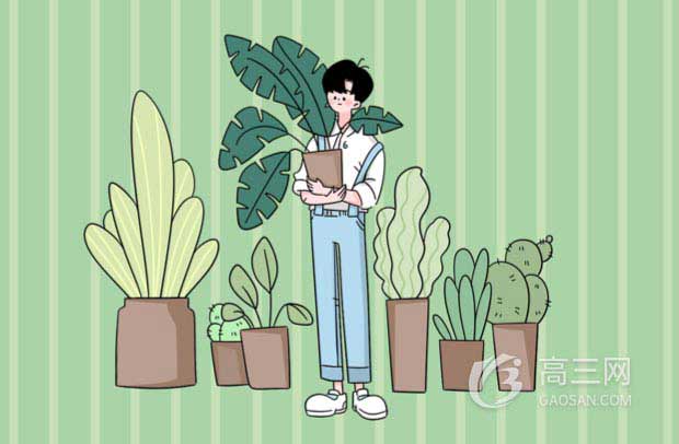 甘肃高考语文作文预测