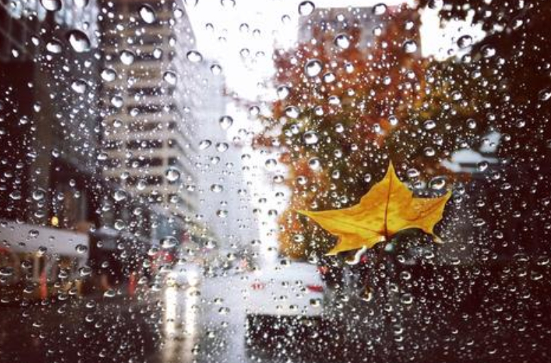 适合下雨天发的句子 描写下雨天唯美的心情短语