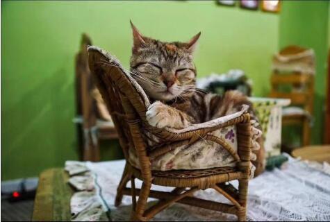 我在光阴的拐角等花开