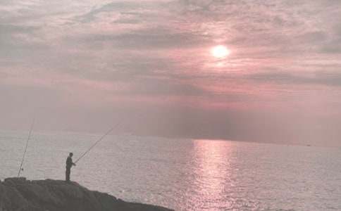 海港码头的钓鱼技巧