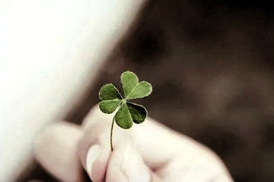 从来就没有卑微的生命,只有卑微的态度