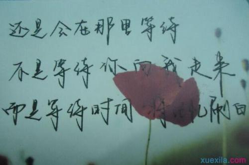 感人的爱情金句 十大爱情金句