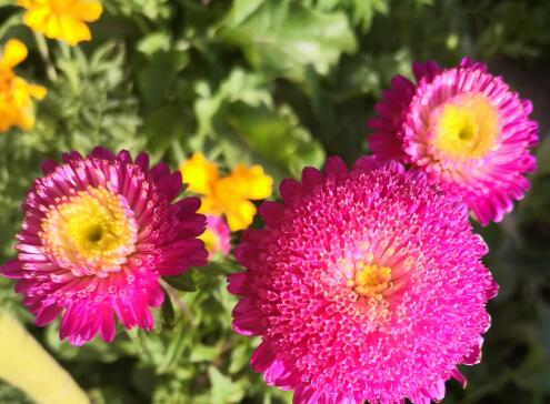 如果不是因为爱