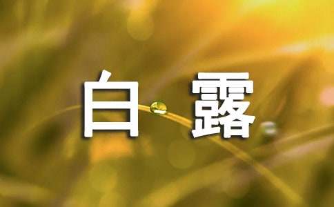 白露广告治愈文案