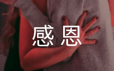 关于感恩父母的一封信（精选11篇）