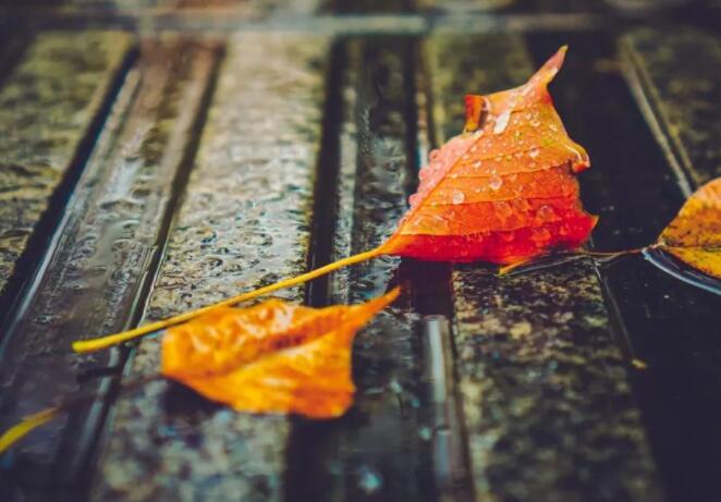 含有雨的唯美句子