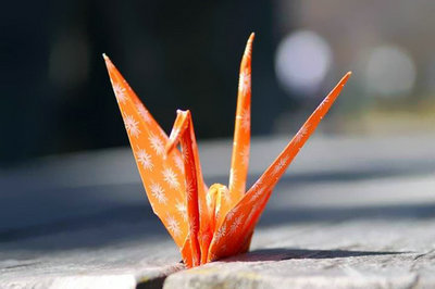 用微笑演绎悲伤，用努力诠释未来