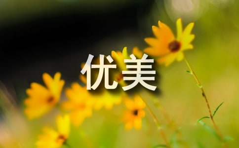 初三优美开头结尾摘抄大全