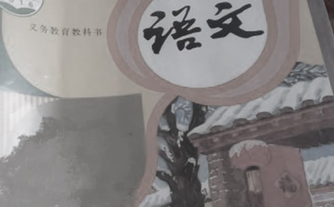 关于语文的学习计划(精选16篇)