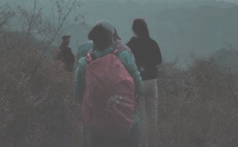 【推荐】登山小学作文合集5篇