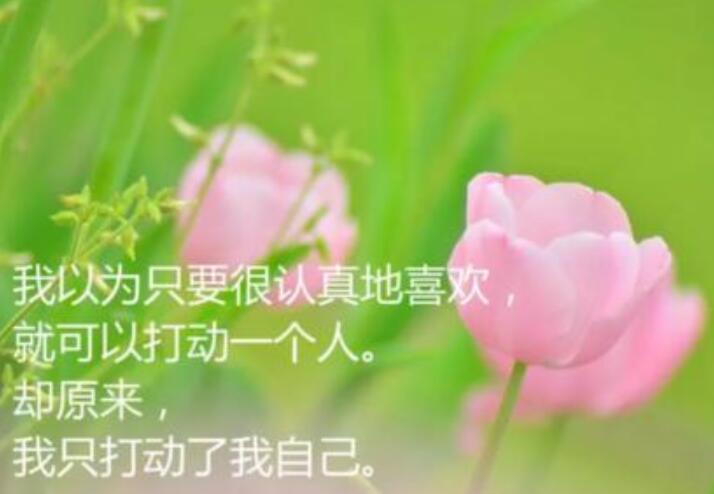 爱情伤感有哲理的句子
