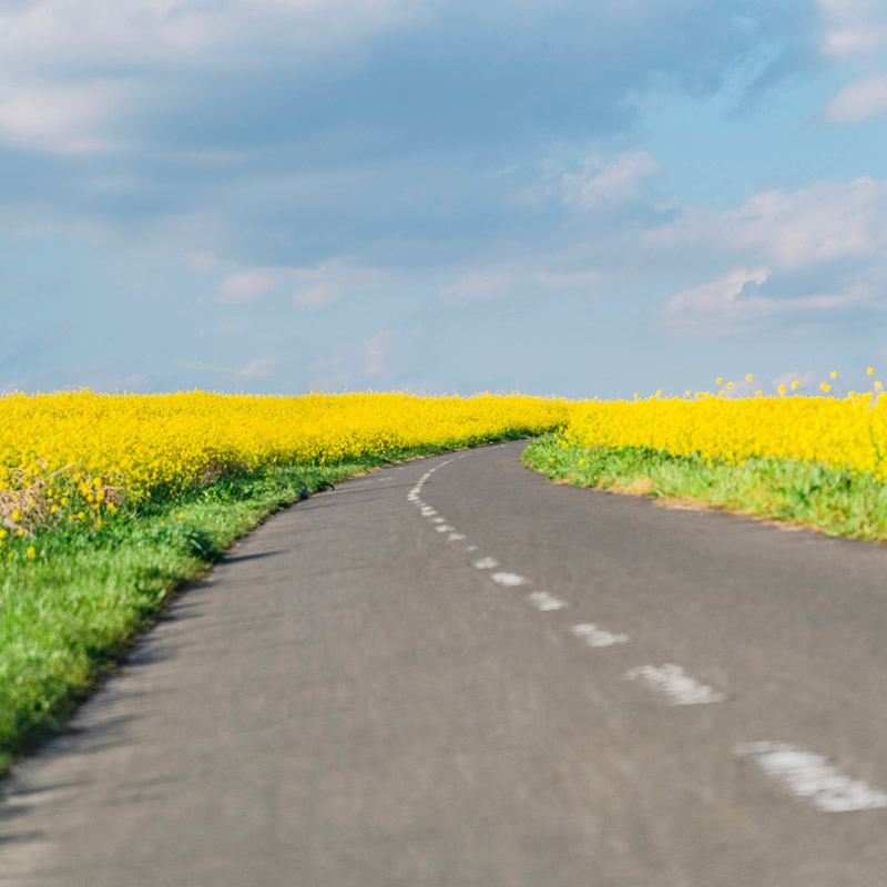 适合做微信头像的照片