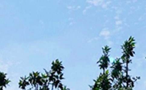 精选每日一句早安微信问候语25条