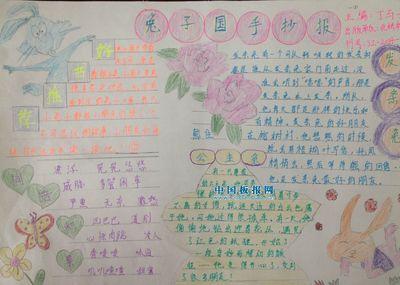 关于兔子波的手抄报 关于兔子的手抄报