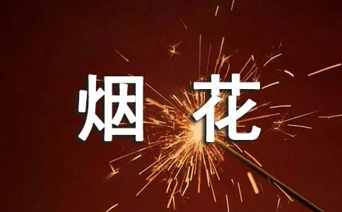 烟花爆竹打非治违工作简报