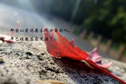 霸气的句子唯美短句子