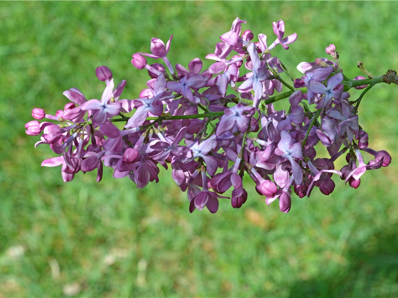 新的一天开始精美语句(40句)