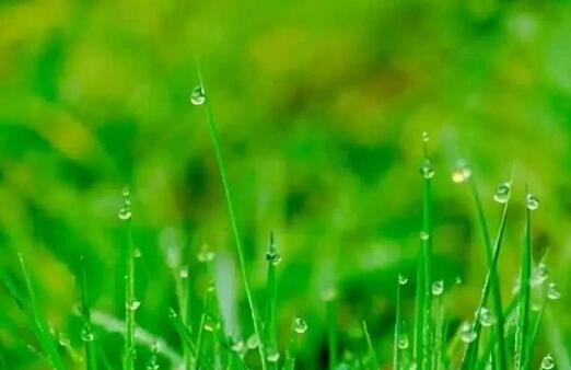 一场春雨一份暖