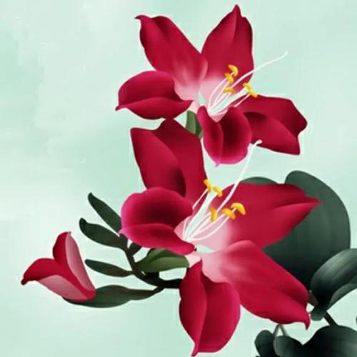 适合长期不换的头像，20张微信头像，各种风格，不重样