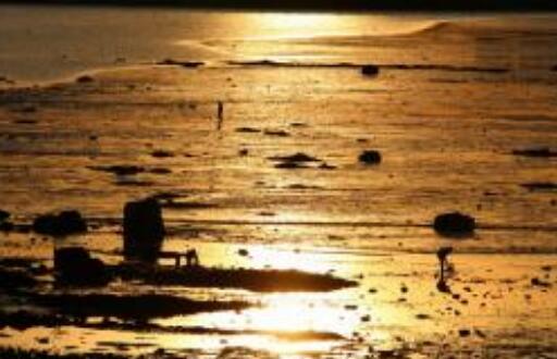 梦萦鱼米我故乡