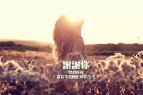 期待另一半的唯美句子
