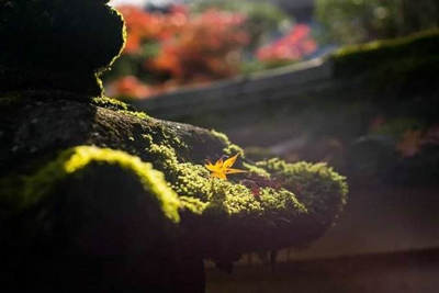 机会靠自己争取，命运需自己把握