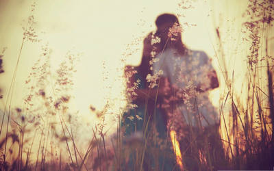 关于爱情的句子关于爱情的图片