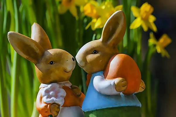  高考优秀英语作文范文3篇（带翻译）