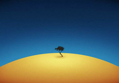 富有哲理的句子带图片