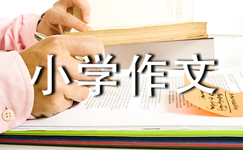 一件难忘的事小学作文[集合15篇]