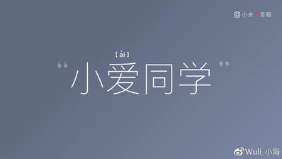 小爱同学的语录