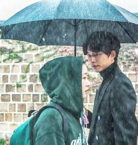 雨淋湿了回忆，痛始终不说话