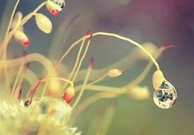 人生感悟的句子伤感人生