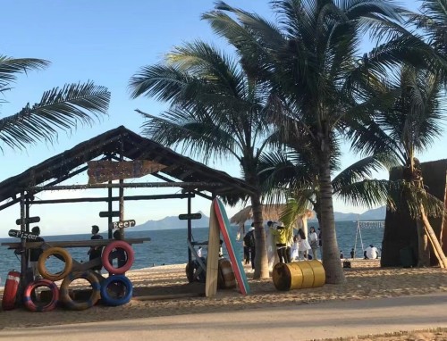 粉玫瑰花语是什么意思