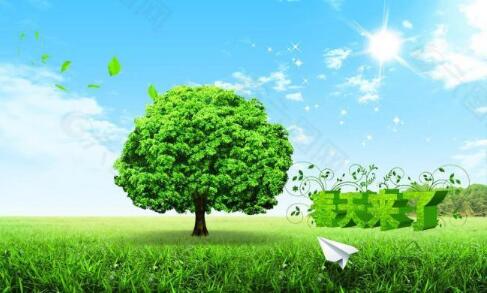 小草盈盈,笑意浓浓